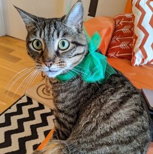 Meet your Posher, Mayra